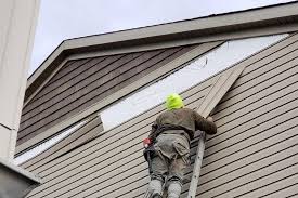 Best Custom Trim and Detailing for Siding  in Carefree, AZ